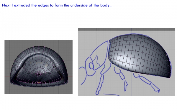 Creation of Ladybeetle: Step 3